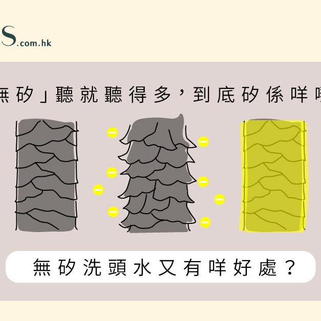 矽是什麼-無矽洗頭水的優點 Pretties.com.hk