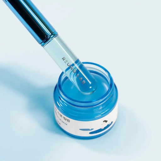 ROUND LAB Birch Juice Moisturizing Lip Balm 20g (+Lip Brush)